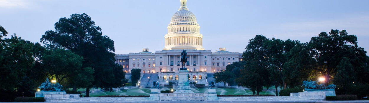 The Capitol Building in Washington D.C